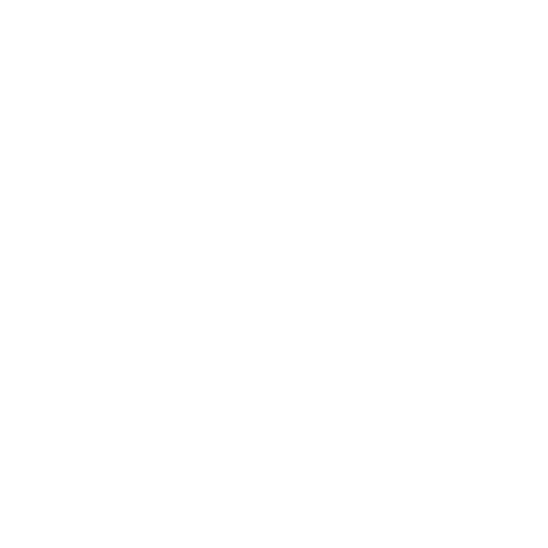 Logo Jungle Scratch